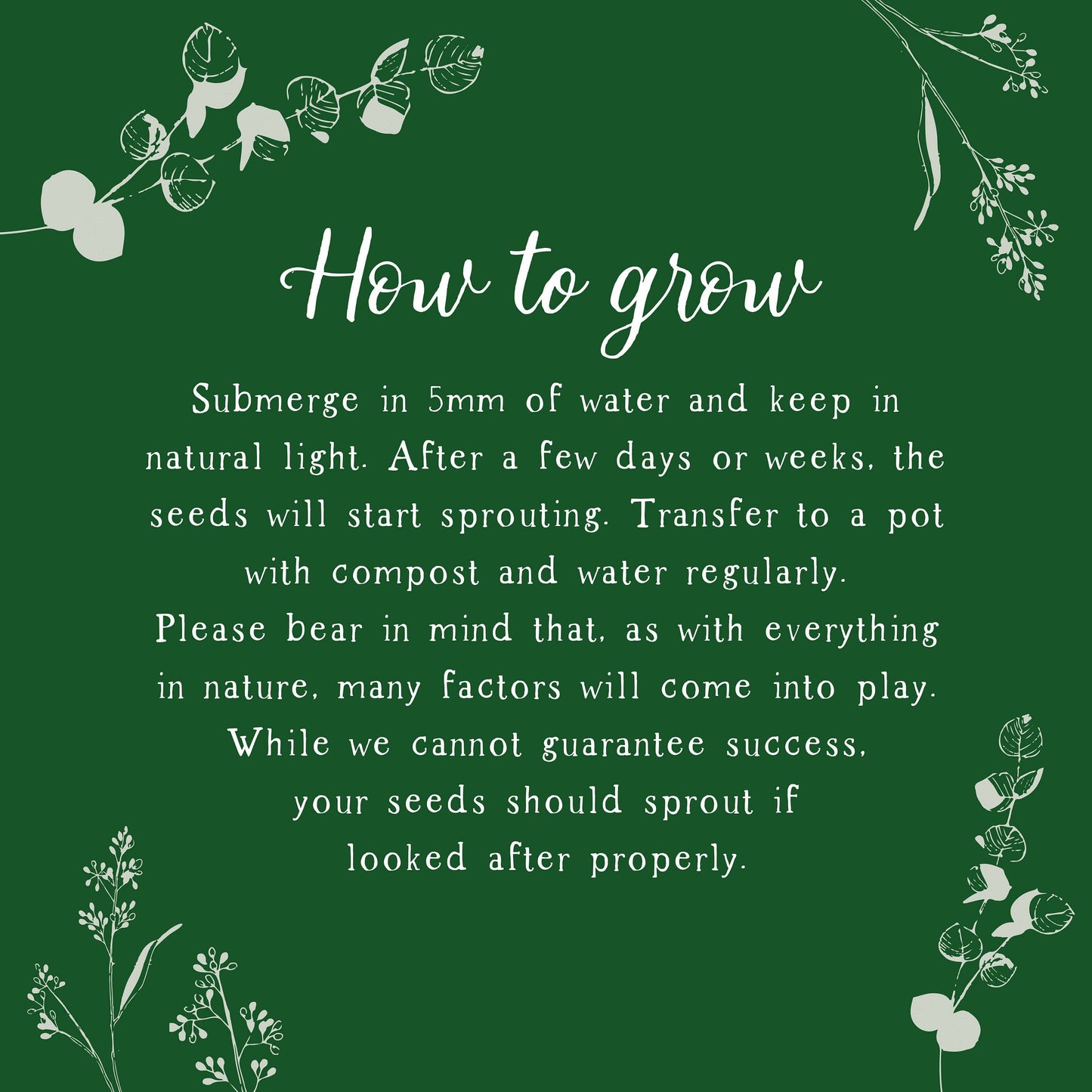 Plantable Birthday Card