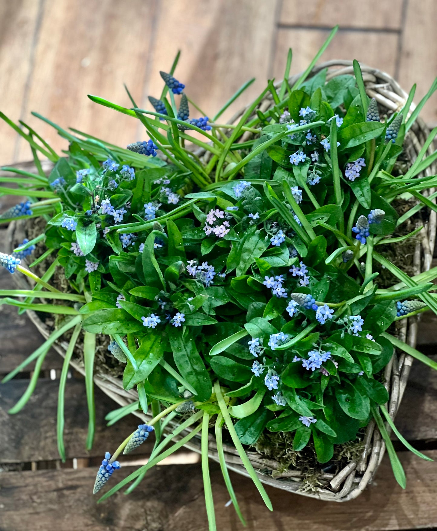 In My Heart / Forget Me Not