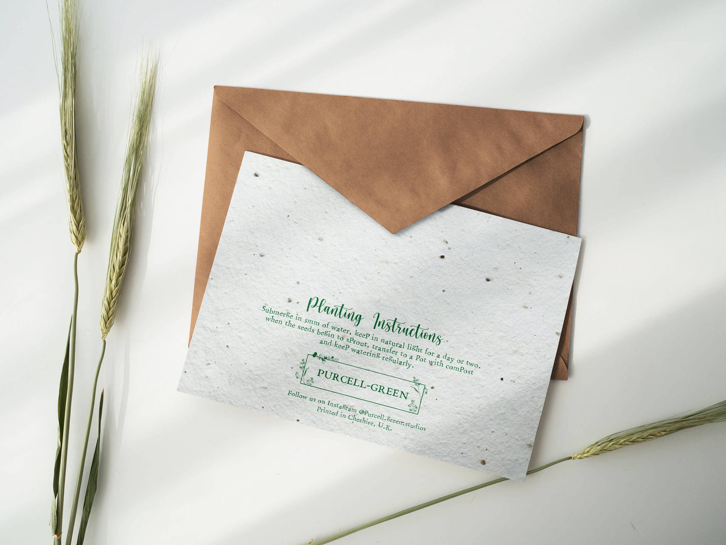 Encouragement Plantable Card