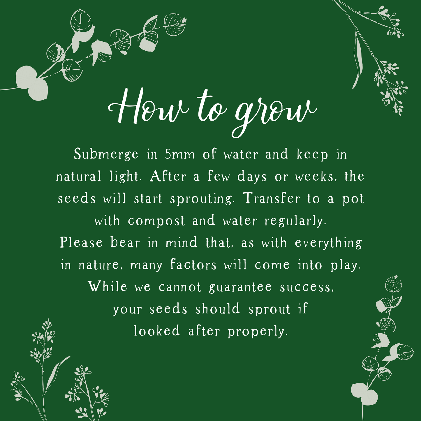 Gardening Happy Birthday Plantable Greeting Card