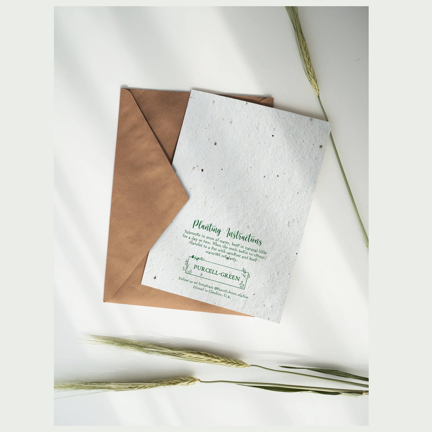 Plantable Birthday Card