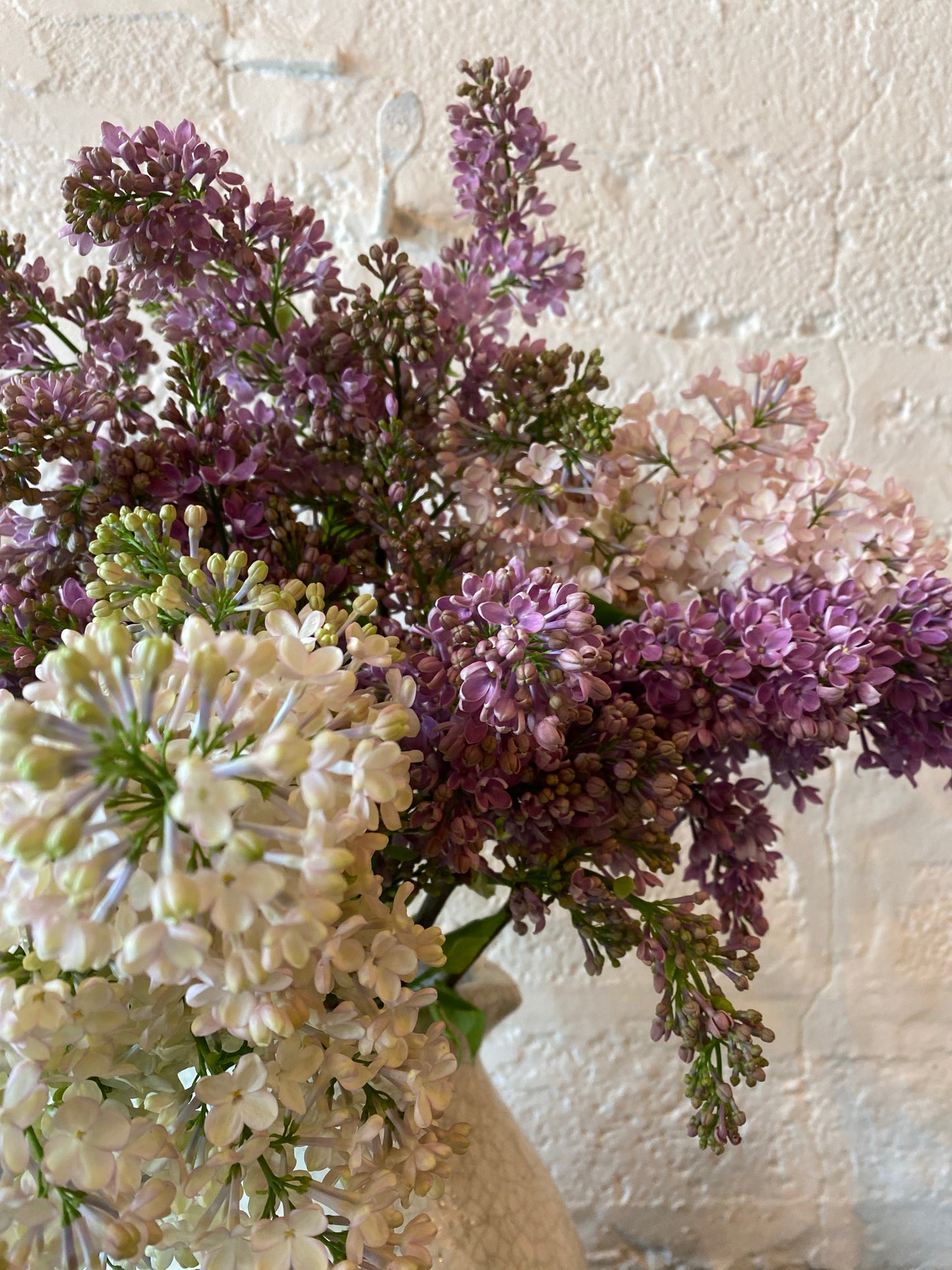 In love with Lilac bouquet