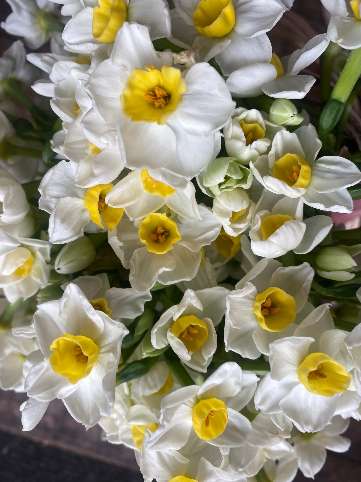Scented Narcissus Bouquet