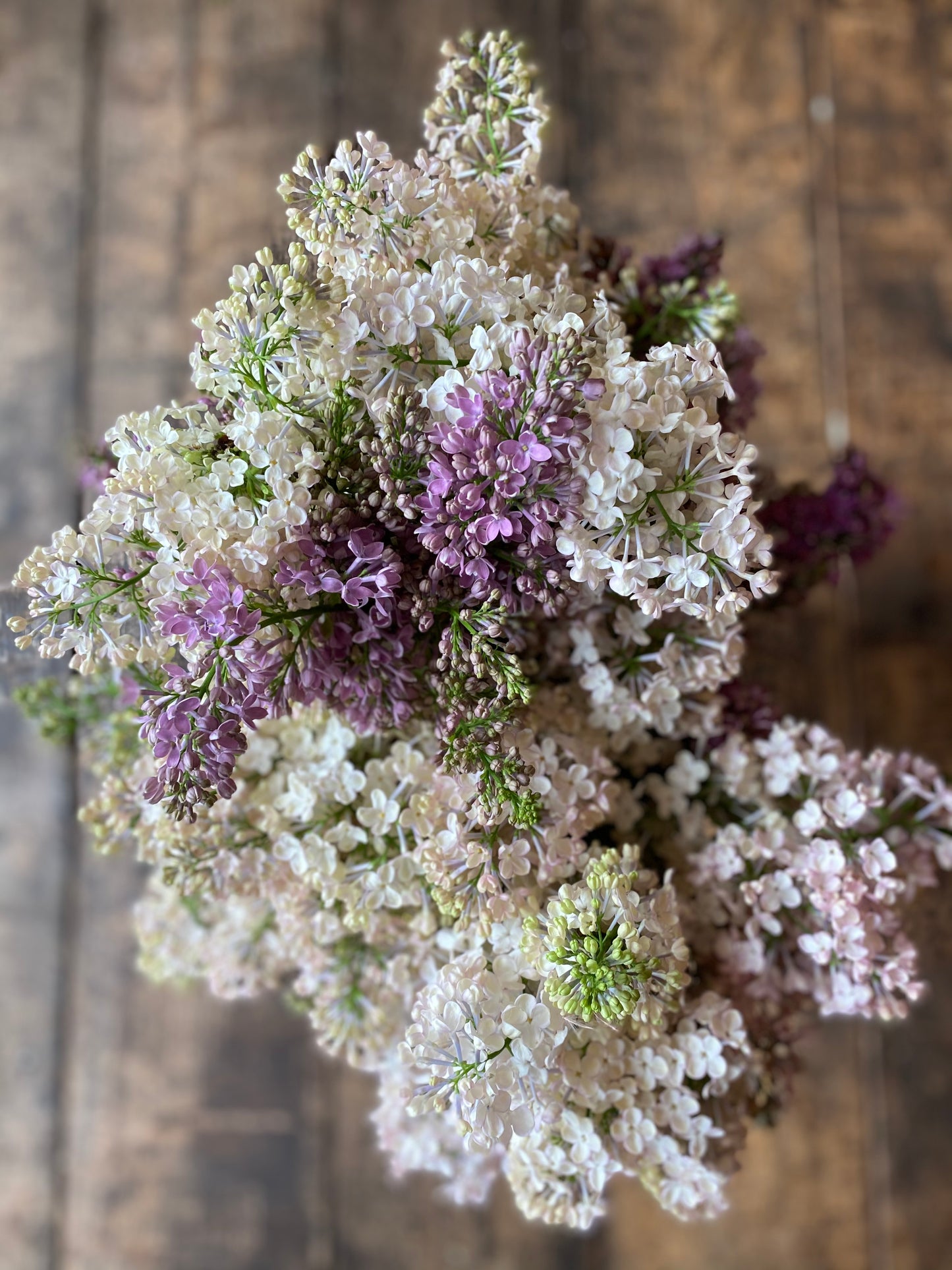 In love with Lilac bouquet