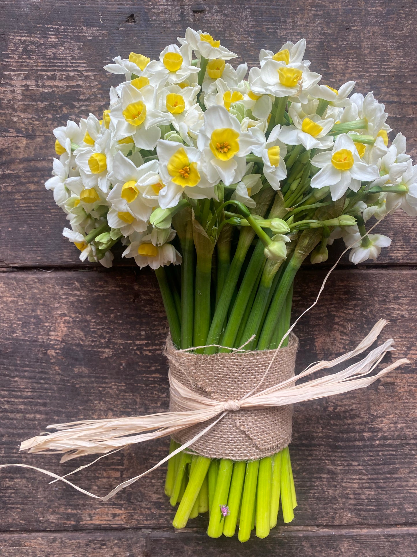 Scented Narcissus Bouquet