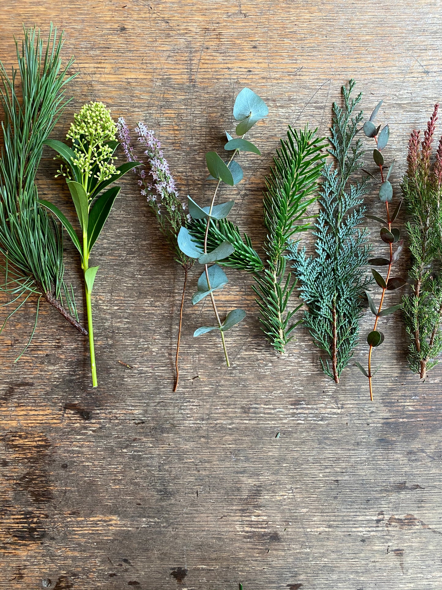 Luxury Mossed and Mixed Foliage Wreath Kit