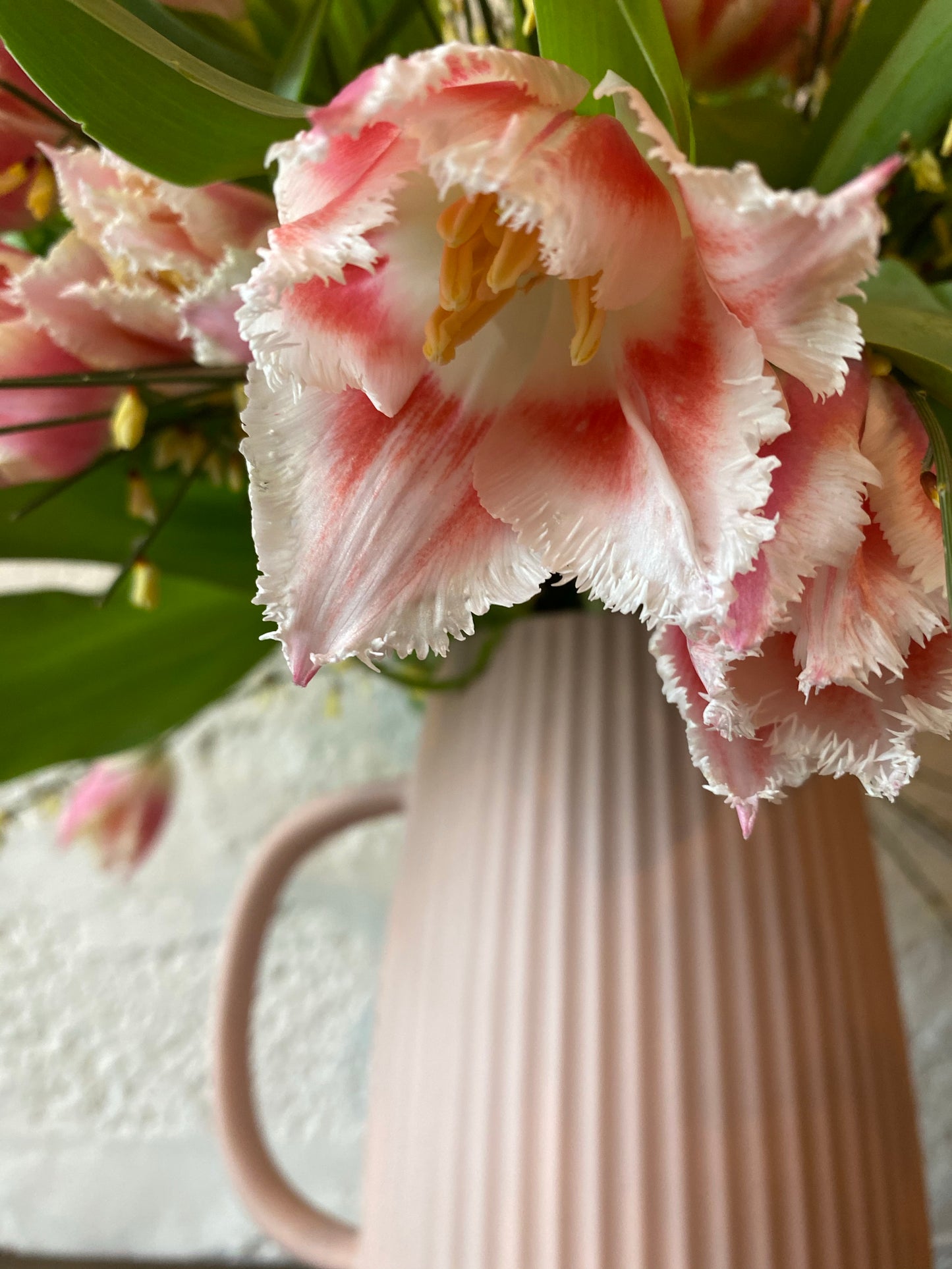 Bell Song Tulip Bouquet